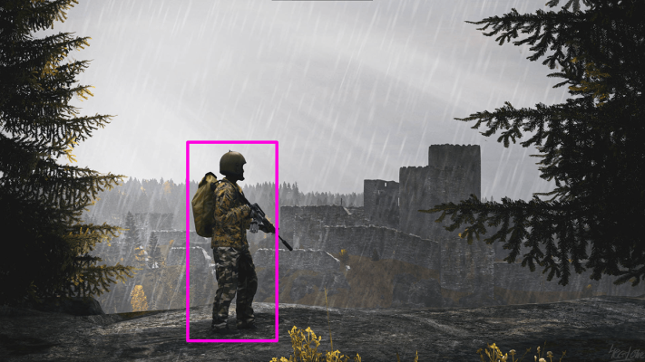 DayZ Hacks (wallhacks)